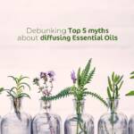 Debunking Top 5 Myths About Diffusing Essential Oils